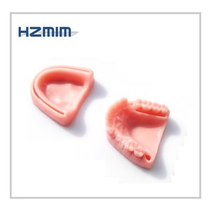 Modèle anatomique dentaire humain, coussin d'entraînement dentaire pour la pratique de la suture, en PVC et silicone - Product Image 6
