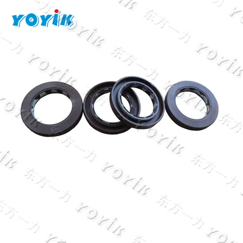 TCM589332 skeleton oil seal for VICKERS piston high pressure pump