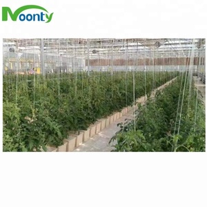 Secchio olandese idroponico del pomodoro secchio Bato per la scatola di coltivazione del giardino della <span class=keywords><strong>serra</strong></span> - Product Image 3