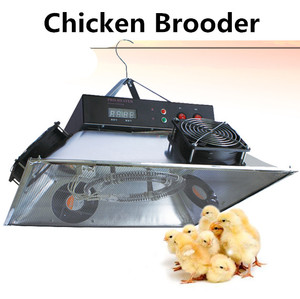 Chauffe-22 automatique pour poulet, vente, de haute qualité - Product Image 2