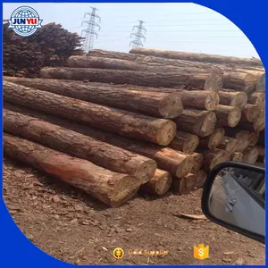 Gỗ giá rẻ bản ghi và pinus bảng gỗ sử dụng cho sàn