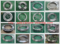 Slewing Ring Bearing Rotary Turntable für Conveyer Crane Excavator Construction Machinery Gear Ring