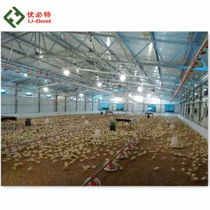 Good price house design in nepal low cost broiler chicken rate poultry farming for broiler