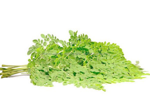 Gmp casher naturel Moringa laisser poudre / Moringa oleifera poudre - Product Image 2