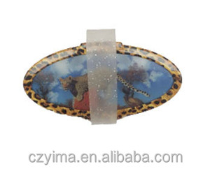 Vendita calda! Nuovo-Sviluppato Cavallo Grooming Kit/Set Con 3D Zebra <span class=keywords><strong>Immagine</strong></span> Modello - Product Image 3