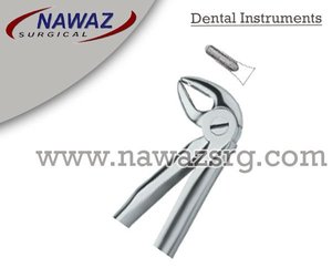 Forceps d'extraction dentaire Fig.33 Diam, manuel, en acier inoxydable de haute qualité, instruments dentaires avec logo personnalisé - Product Image 2