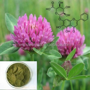 Venta caliente 100% Plantas de Estrógeno Natural Rojo Trébol Trifolium Pratense L. con extracto de 8% de <span class=keywords><strong>Isoflavonas</strong></span> - Product Image 5