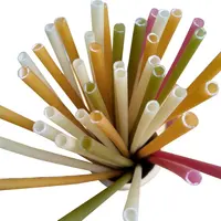 Eco-Friendly Compostable Bamboo Drinking Straws