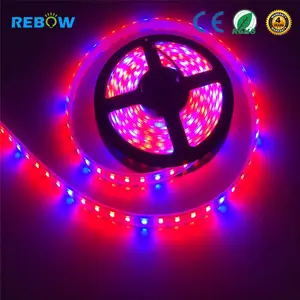 Full Spectrum Waterproof Red Blue 12V Flexible 5m 2835 SMD 5050 led strip grow lights