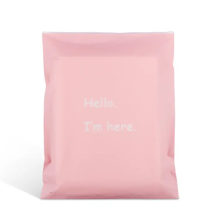 사용자 정의 인쇄 로고 매트 핑크 럭셔리 지퍼 잠금 ldpe cpe 플라스틱 포장 가방 의류