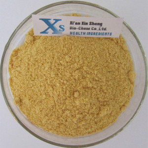 GMP Naturel De Haute Qualité Poudre De Melon De Hami - Product Image 1
