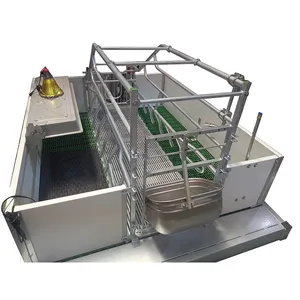 pig single cage sow gestation crate with pen