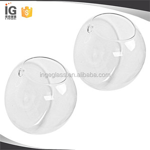 Cápsula de Vidrio para Plantas/Terrario en Venta - Product Image 4