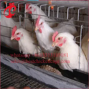 Mới được thiết kế gia cầm thiết bị gà thịt mạ kẽm sản xuất của gà brooding lồng pin lồng cho gà mái đẻ từ Trung Quốc