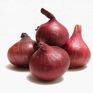 Trung quốc Tươi Củ Hành Đỏ 55 mét 13 kg Lưới Túi Giá cho <span class=keywords><strong>Kuwait</strong></span> Thị Trường - Product Image 2