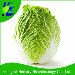 1  chinese cabbage  seeds for cultivating