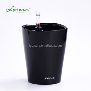Compris in ensemble DELTINI Tout-en-Un pot de fleur en plastique pour <span class=keywords><strong>tillandsia</strong></span> plantes - Product Image 3