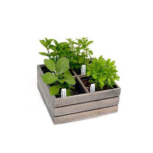 Stile minimalista in legno succulenta vaso fioriera griglie miste per erbe letto cassa di stoccaggio interno/esterno per bambini casa uso pavimento - Product Image 3