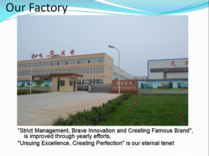 Generador Diésel Rayming de 400kW/500kVA con Tipo Silencioso y ATS, Modelo LMGF-400 - Product Image 6