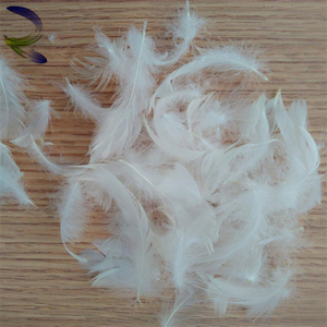 Số lượng lớn làm đầy vải rửa ngỗng lông giá thấp Trắng ngỗng lông bán buôn để Bán gối làm đầy vật liệu - Product Image 2