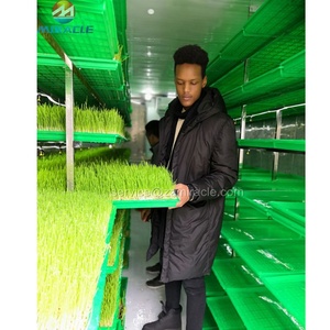 <strong>Shipping</strong> <strong>Container</strong> Type High Output <strong>Hydroponics</strong> Fodder Farm <strong>Container</strong> for Poultry Industry - Product Image 3