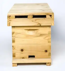 Chinese factory directly supplies water proofing standard 10 frames Chinese bee hive complete for bees