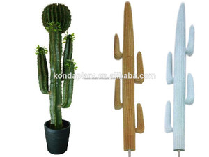 Decoración de interior Y Al Aire Libre <span class=keywords><strong>bonsai</strong></span> Plantas de Cactus Cactus Y Suculentas Cactus Plantas artificiales Al Por Mayor - Product Image 3