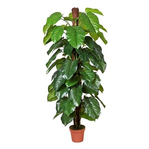 Plantes <span class=keywords><strong>d</strong></span>'<span class=keywords><strong>intérieur</strong></span> artificielles à <span class=keywords><strong>grande</strong></span> feuille, 1 pièce, fausses fleurs de bonsaï tropical en plastique, vente <span class=keywords><strong>d</strong></span>'arbre - Product Image 6