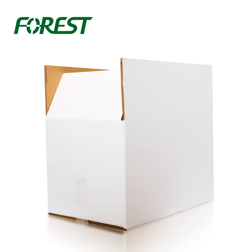 F019 Kemasan Hutan Harga Murah Grosir Kotak Karton Bergelombang Kardus Kustom Putih Lilin