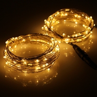 Décoration de noël Chaîne Lumières Belle Conception Gradateur Led Extérieure A Mené La Ficelle Légère
