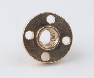T20x4 T20x8 20毫米螺纹丝杠4毫米8毫米304不锈钢丝杠带黄铜螺母 - Product Image 5