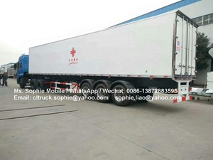 2-axles 20ft New DIESEL nhiên liệu hộp <span class=keywords><strong>s</strong></span>ố Tay tủ lạnh <span class=keywords><strong>container</strong></span> Trailer nhỏ <span class=keywords><strong>s</strong></span>ử dụng tủ lạnh Trailer - Product Image 5