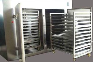 Essiccatore Industriale a Gas Propano con Vassoi in Acciaio Inox per Papaya, Prezzemolo, Estragono e Pomodori - Product Image 5
