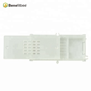 Gabbia per Ape Regina in Plastica in Offerta - Product Image 2