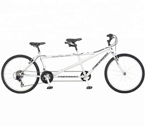Bicicletta Tandem a Due Posti con Telaio in Acciaio da 26 Pollici, 21 Velocità, Modello Fashion (SY-TD2615) - Product Image 1