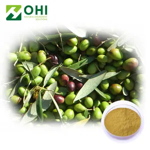 Fabricage Supply Olive Leaf /Olea Europaea L Extract Poeder Hydroxytyrosol/Oleuropein