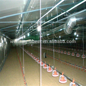 Équipements agricoles structure en acier de aviculture hangar - Product Image 3