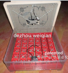 super <span class=keywords><strong>mini</strong></span> bandeja de la incubadora para huevos de pollo y huevos de codorniz - Product Image 1