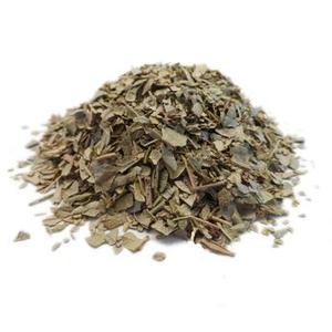 Tinh Khiết Tự Nhiên Peumus Bolus Chiết Xuất Boldo Leaf Extract - Product Image 5