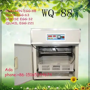 자동 가금류 계란 인큐베이터 한국 판매 WQ-88