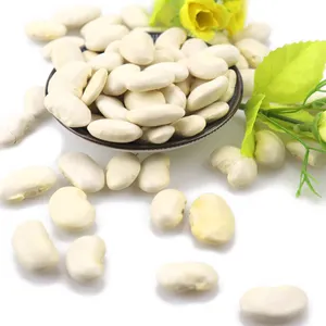 Chinese large size long types of White Kidney Beans dry