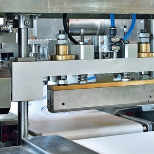 Mizuna Greens ผักกาดขาวนิวซีแลนด์,เครื่องบรรจุผักผลไม้ผัก Radicchio Rapini - Product Image 4