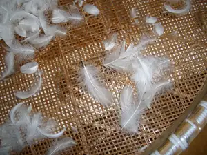 Factory Price Soft Warm White Duck Feather Pluma Machine Washable Down Duck Down Feather For Home Textiles