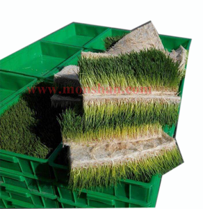 Máquina <span class=keywords><strong>de</strong></span> germinación <span class=keywords><strong>de</strong></span> brotes <span class=keywords><strong>de</strong></span> semillas <span class=keywords><strong>de</strong></span> forraje hidropónico CE para granja avícola - Product Image 2