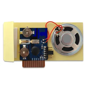 Recordable sound chip for greeting card, sound module for plush toy