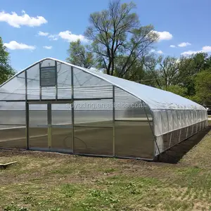 Tunnel Greenhouses Price Wet Wall Greenhouse Hoop Greenhouse Low Tunnel