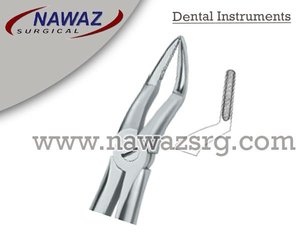 Fórceps de extracción de dientes Fig.51 Diam Productos de logotipo personalizado de alta calidad Instrumentos dentales de acero inoxidable de alta calidad - Product Image 2