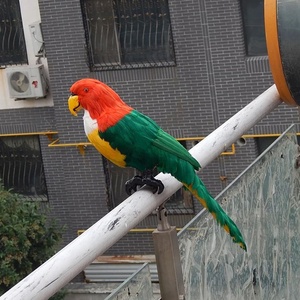 Aangepaste Grootte En Kleur Handgemaakte Opgevulde Kunstmatige Papegaai Vogel Met Echte Veren
