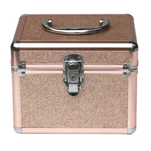 Moda küçük gül altın alüminyum makyaj çantası tepsi ile mini mücevher kutusu