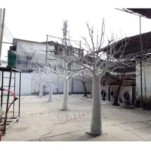 landscape outdoor tree trunk dry white tree without leaves